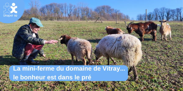 La mini-ferme du Domaine de Vitray : le bonheur est dans le pré !