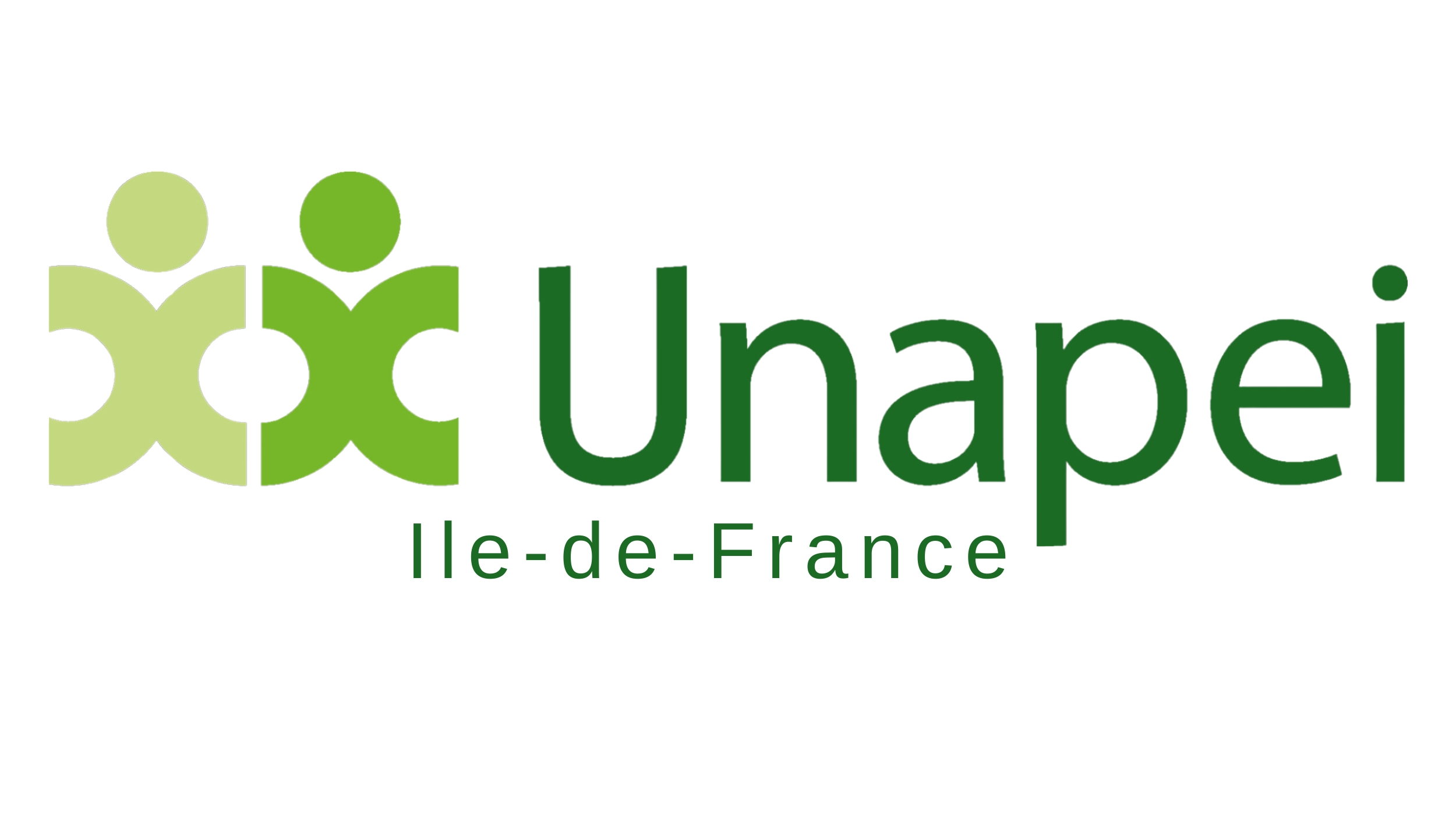 Logo Unapei IDF